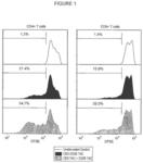 Soluble antibody complexes for T cell or NK cell activation and expansion