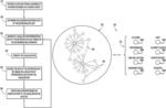 Searching and visualizing data for a network search based on relationships within the data