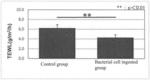 BACILLUS BACTERIUM, INTERLEUKIN-22 PRODUCTION INDUCING AGENT, SKIN BARRIER FUNCTION ENHANCING AGENT