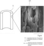 Hollow fiber membrane module