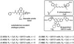 PROTEASE-ACTIVATED CONTRAST AGENTS FOR IN VIVO IMAGING