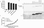 TREATMENT USING CYTOKINE ENCODING RNA