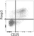 Pharmaceutical Composition for Cancer Treatment