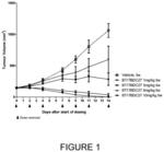 Bicyclic peptide-toxin conjugates specific for MT1-MMP