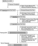 METHODS OF OPTIMIZING NUCLEOTIDE SEQUENCES ENCODING ENGINEERED INFLUENZA PROTEINS