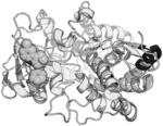 METHODS AND COMPOSITIONS FOR THE TREATMENT OF TUBERCULOSIS