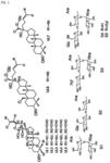 Cosmetic composition for wrinkle reduction containing gypenoside isolated from Gynostemma pentaphyllum