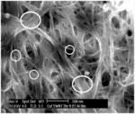 Modified Carbon Nanotubes and Methods of Forming Carbon Nanotubes