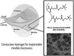 BIO-IONIC LIQUID HYDROGELS AND USE OF SAME