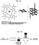 MYC G-quadruplex stabilizing small molecules and their use