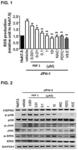 Peptide having anti-viral effect and composition containing same