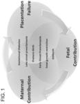 CIRCULATING RNA SIGNATURES SPECIFIC TO PREECLAMPSIA