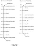 QTLs associated with and methods for identifying lodging resistance in soybean