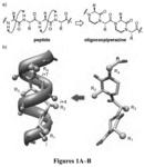 OXOPIPERAZINE HELIX MIMETICS FOR CONTROL OF HYPOXIA-INDUCIBLE GENE EXPRESSION