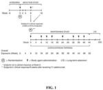 Safe and Effective Method of Treating Ulcerative Colitis with Anti-IL12/IL23 Antibody