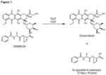 Fap-activated therapeutic agents, and uses related thereto