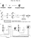 Aptamer methods and compositions