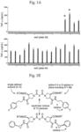 Diprovocims: a new and potent class of TLR agonists