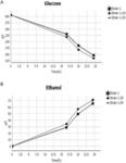 GENETICALLY MODIFIED LACTATE-CONSUMING YEASTS AND FERMENTATION PROCESSES USING SUCH GENETICALLY MODIFIED YEASTS