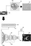 IMAGE ANALYSIS METHOD, IMAGE ANALYSIS APPARATUS, AND IMAGE ANALYSIS PROGRAM FOR ANALYZING CELL WITH DEEP LEARNING ALGORITHM