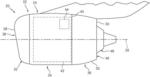 THERMAL-ANTI-ICING SYSTEM WITH MICROWAVE SYSTEM