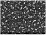 Transparent substrates comprising three-dimensional porous conductive graphene films and methods for making the same