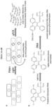 Methods for detection and quantification of infectious carbapenem resistant Enterobacteriaceae (CRE)