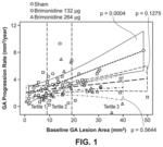 METHOD OF TREATMENT AND CLINICAL TRIAL DESIGN FOR GEOGRAPHIC ATROPHY DUE TO AGE-RELATED MACULAR DEGENERATION