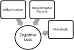 PERSONALIZED MEDICINE APPROACH FOR TREATING COGNITIVE LOSS