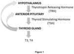 Biosensor for Diagnosis of Thyroid Dysfunction