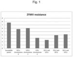 QTLS conferring resistance to potyviruses in watermelon