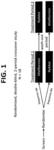 Biguanide compositions and methods of treating metabolic disorders