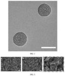 PREPARATION METHOD OF BIOMEDICAL TITANIUM IMPLANT WITH FUNCTION OF ELIMINATING SURFACE BIOMEMBRANE