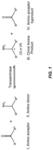 TRANSAMINASE POLYPEPTIDES