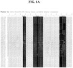 DETECTION METHODS EMPLOYING HCV CORE LIPID AND DNA BINDING DOMAIN MONOCLONAL ANTIBODIES