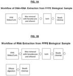 Methods and kits for extracting nucleic acids from paraffin embedded samples