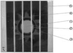 Organic solar cell and manufacturing method therefor