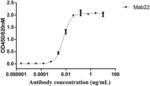 ANTIBODY AGAINST TIM-3 AND APPLICATION THEREOF