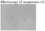 A LYOPHILIZATION PROCESS AND A TEVERELIX-TFA LYOPHILIZATE OBTAINED THEREBY