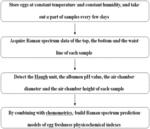 Non-Destructive Detection of Egg Freshness Based on Raman Spectroscopy