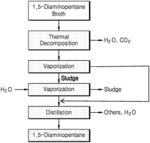 Method of purifying 1,5-diaminopentane