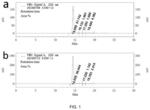 Fermentation process with Pichia yeast expressing recombinant protein