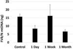 MITOCHONDRIAL AUGMENTATION THERAPY OF RENAL DISEASES