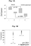 INDUCIBLE REGULATORY T-CELL GENERATION FOR HEMATOPOIETIC TRANSPLANTS