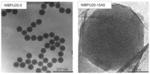 Stable waterborne polyurethane/clay nanocomposite
