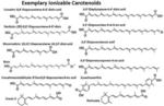 CAROTENOID COMPOSITIONS AND USES THEREOF