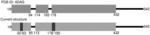 RECOMBINANT METAPNEUMOVIRUS F PROTEINS AND THEIR USE