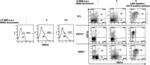 Use of vista agonists and antagonists to suppress or enhance humoral immunity