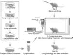 THERAPEUTIC LUNG REPAIR BY INHALATION OF LUNG SPHEROID CELL-SECRETED FACTORS