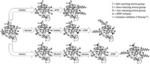 TAILORING SITE SPECIFICITY OF BIOCONJUGATION USING STEP-WISE ATRP ON PROTEINS